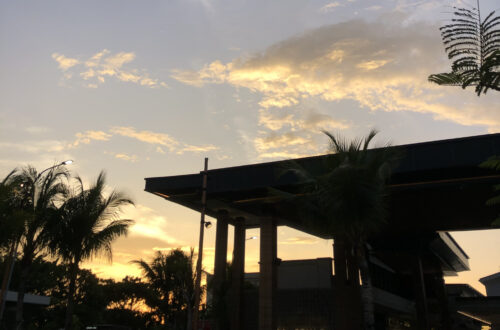 a photo as a part of daily journal photo