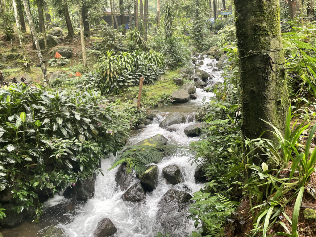aliran sungai kecil curug cilember
