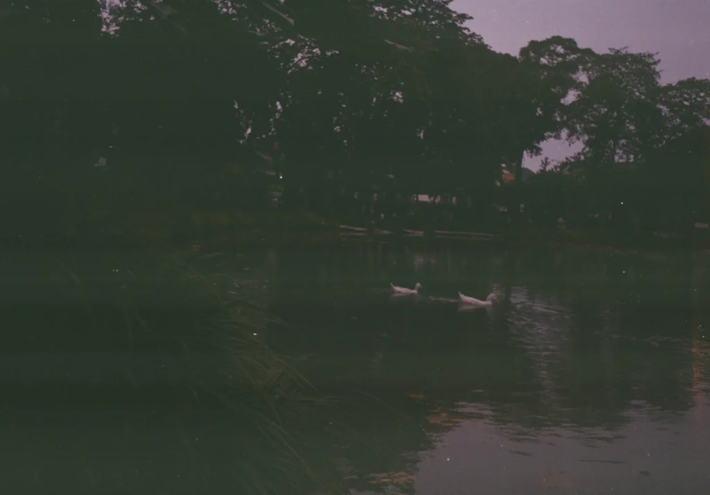 foto kamera analog taman situ lembang